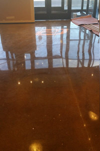 Runner's Roost Polished Concrete Floor